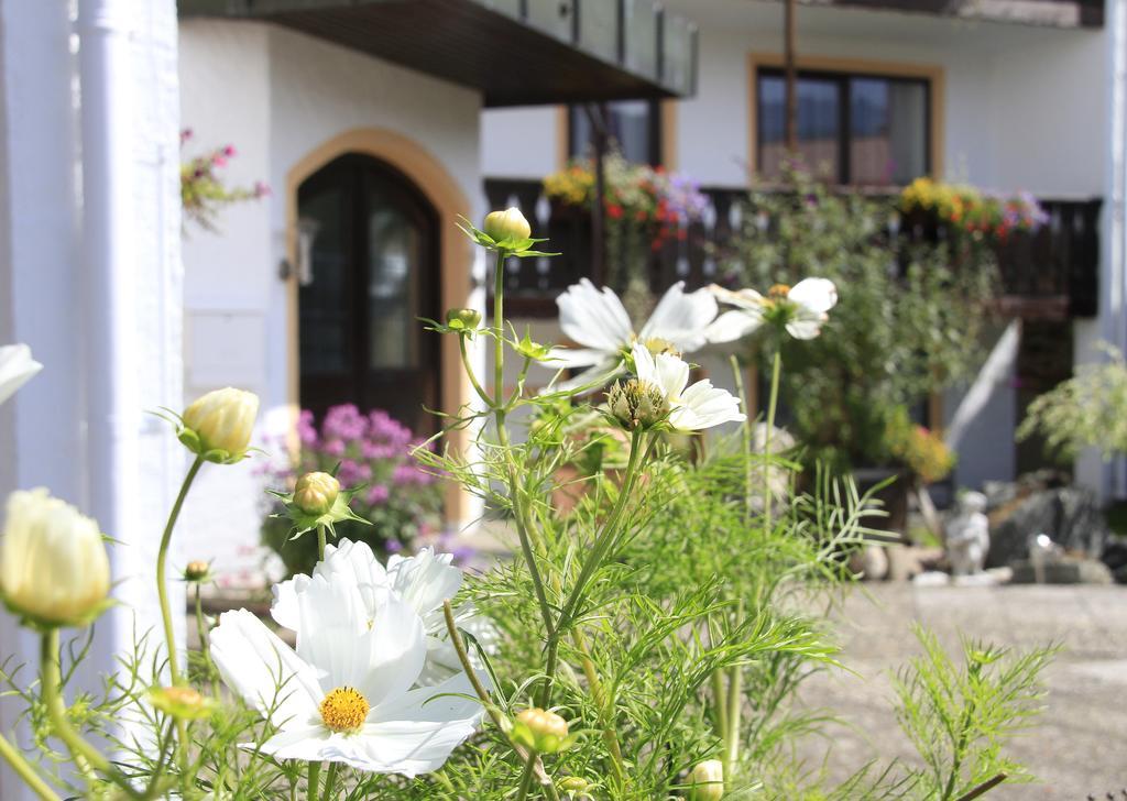 Hotel Alpenblick Berghof Халблех Стая снимка